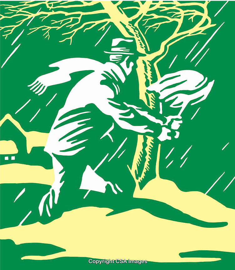 Man Facing Strong Winds Taking Shelter Under a Tree in Rainstorm