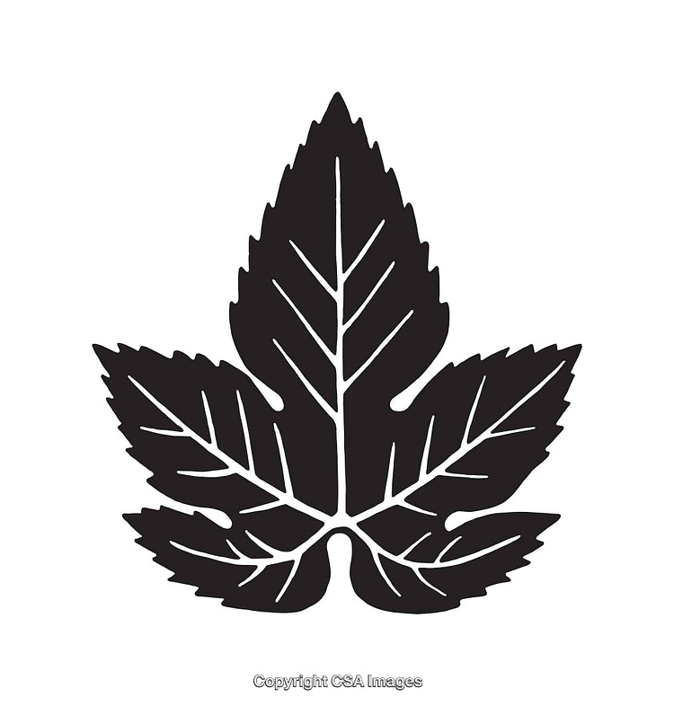 Black and White Line Art of a Maple Leaf Silhouette