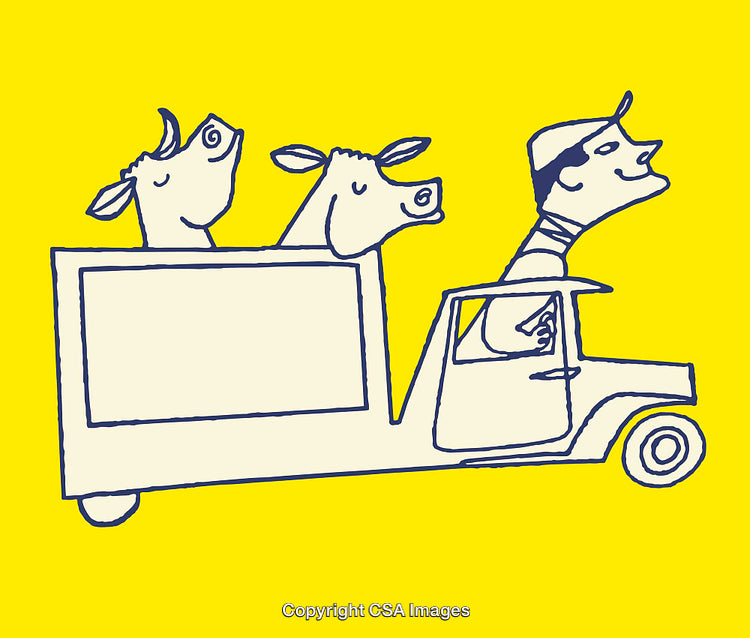 Whimsical Line Art Illustration of a Truck with Cows and Happy Driver