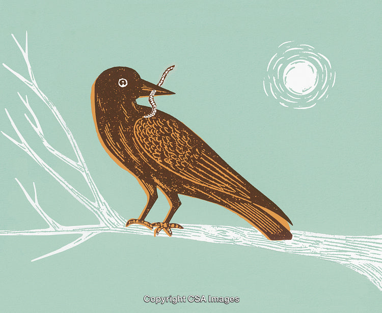 Illustration of a Bird Holding a Worm Perched on a Tree Branch