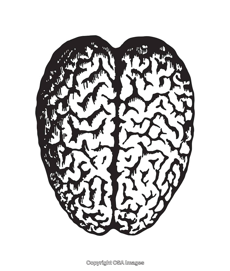 Black and White Brain Line Art Illustration in Stylized Design