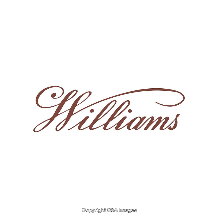Elegant Script Text Displaying the Name Williams in Artistic Brown Typeface