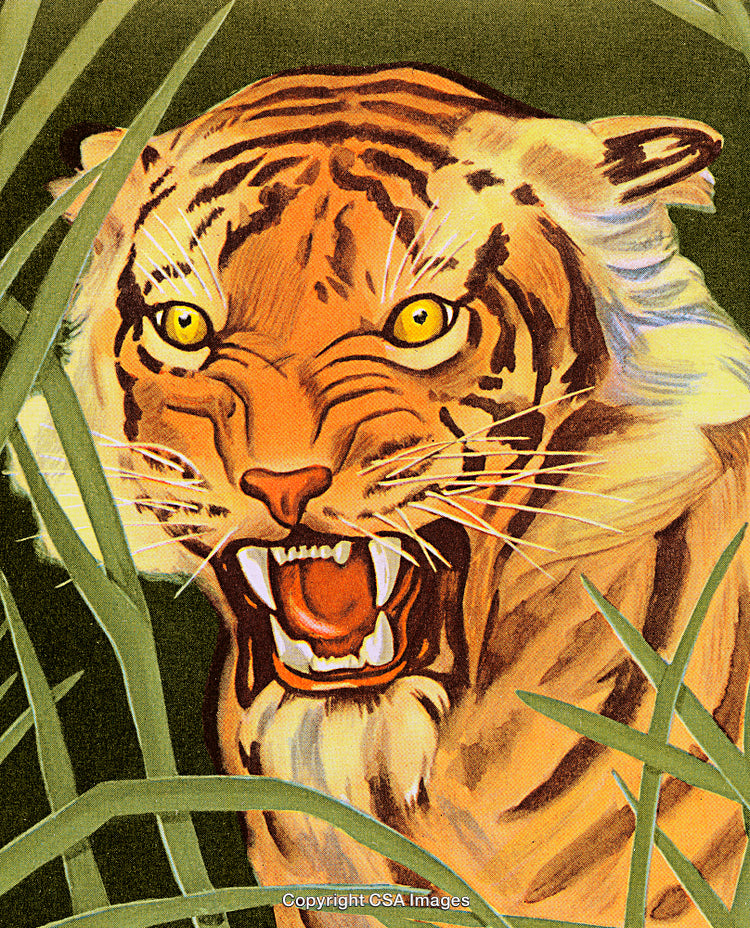 Close-Up Illustration of a Roaring Tiger Amid Jungle Foliage