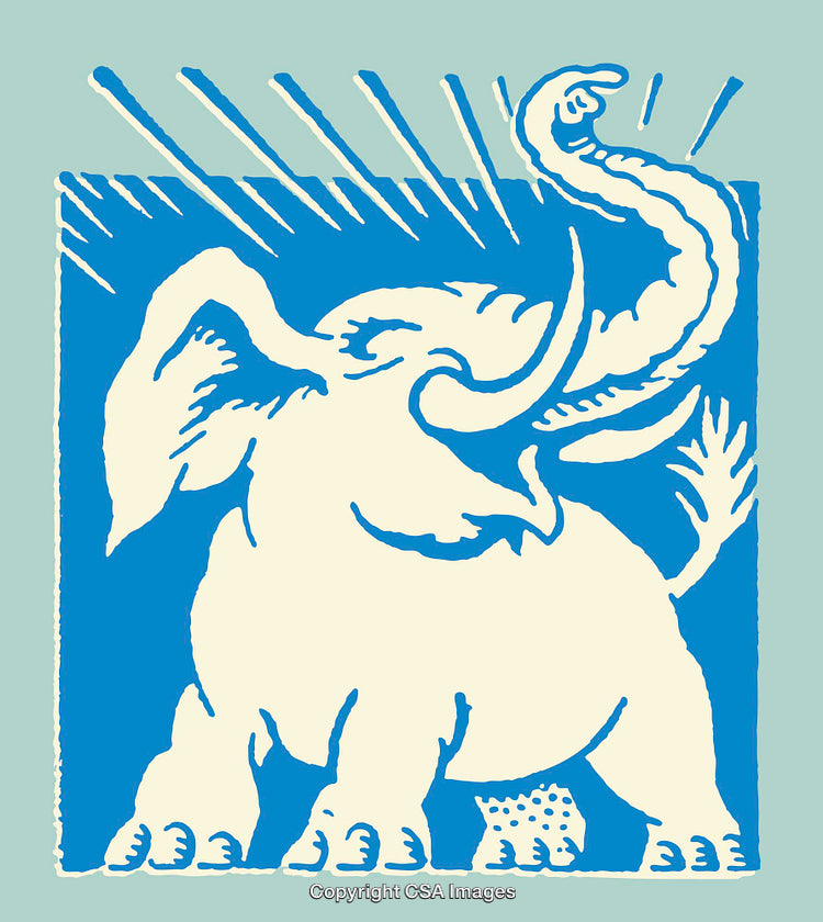Colorful Line Art Illustration of Elephant with Vibrant Details
