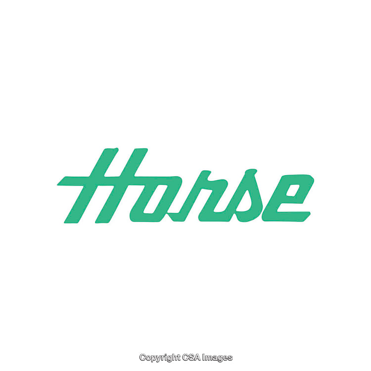 Simple Green Typography Displayed in Bold Cursive Style on White Background