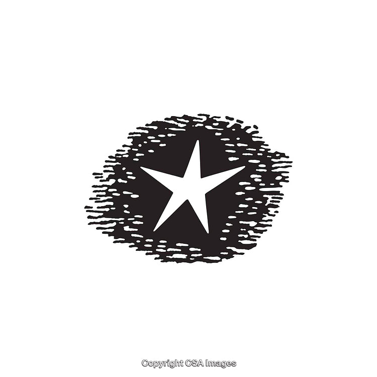 Abstract Monochrome Star Shape With Textured Background Design