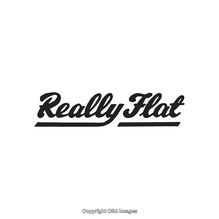 Stylized Typography Design Featuring the Phrase 'Really Flat' in Black Font