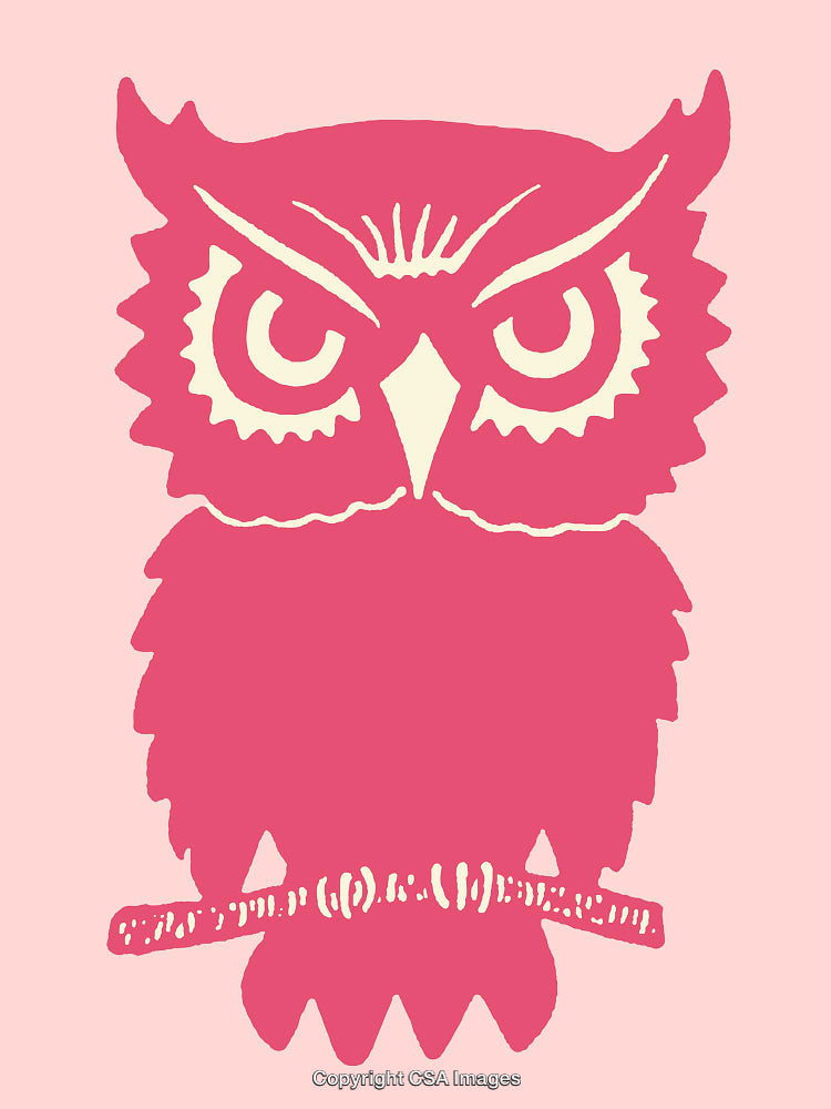 Pink Owl Silhouette Illustration on a Light Background