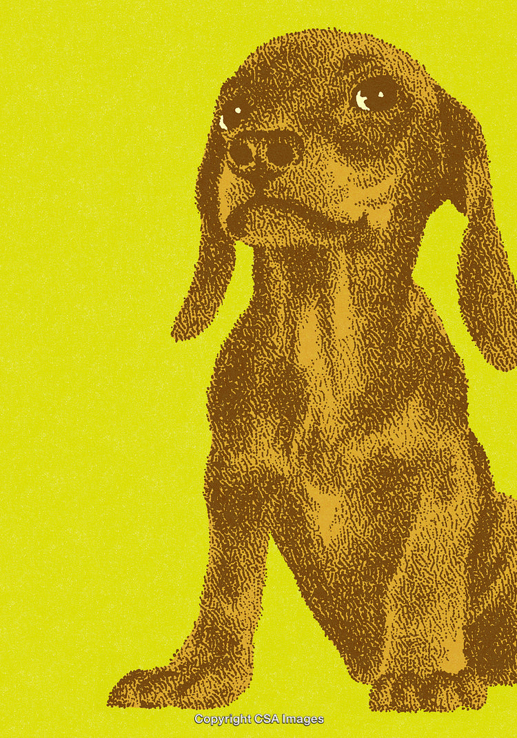 Illustration of a Cute Puppy on a Vibrant Yellow Background