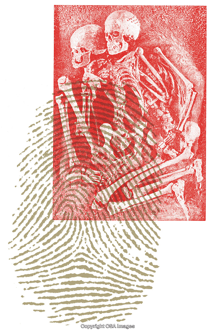 Artistic Depiction of Skeletons Highlighting Historical and Forensic Themes in Red