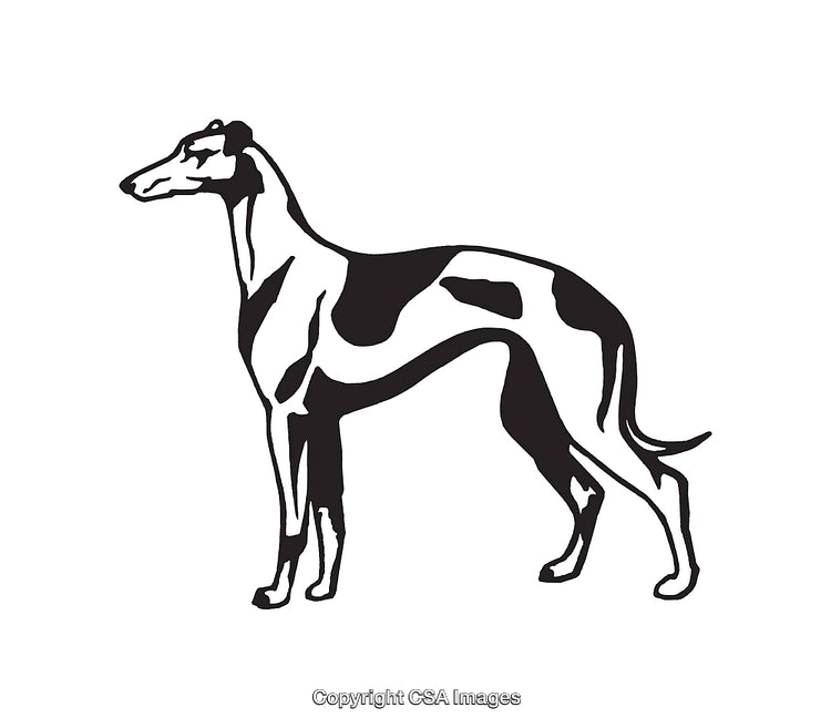 Black and White Line Art Illustration of a Greyhound Dog