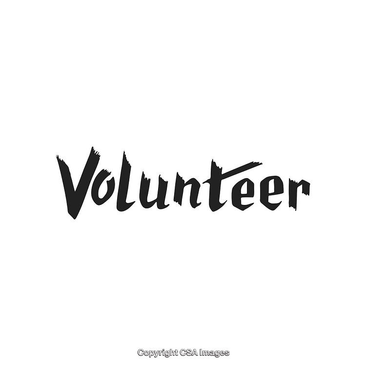 Brush Styled Text Depicting the Word "Volunteer" on a Clean White Background