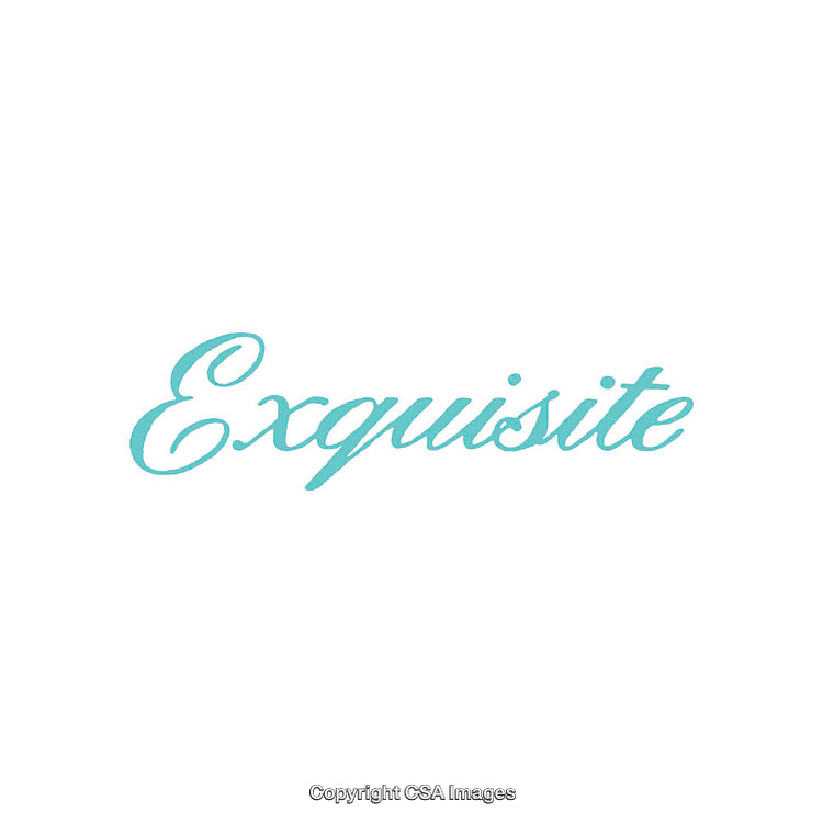 Elegant Turquoise Script Typography on a Minimalist White Background