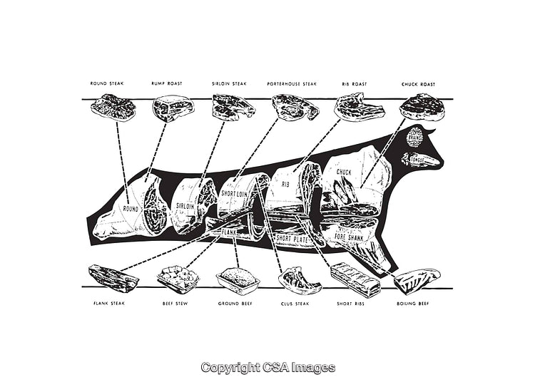 Detailed Black and White Diagram of Beef Cuts with Labels