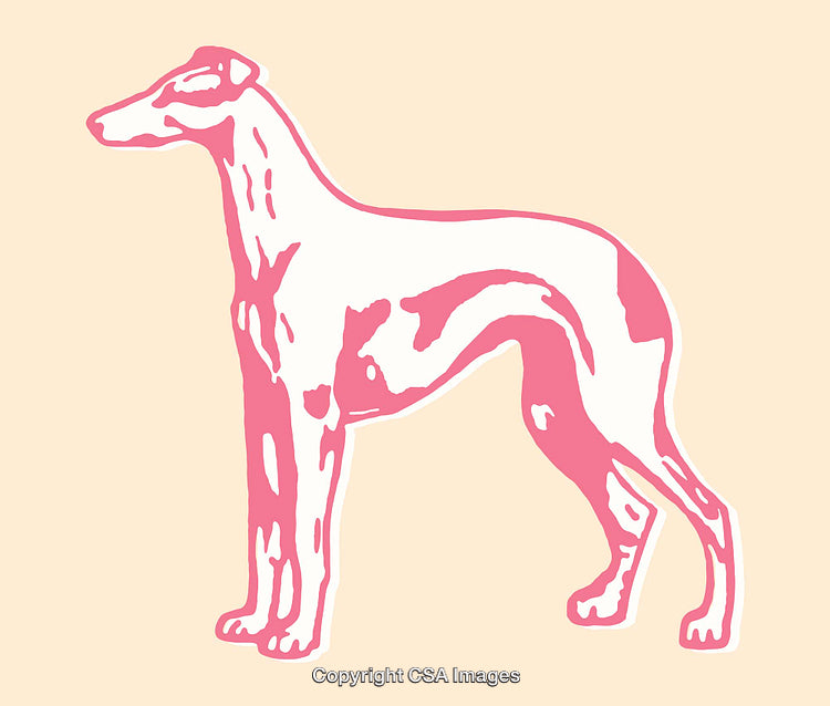 Pink and White Line Art Illustration of a Graceful Dog