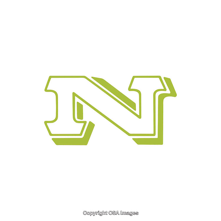 Stylized Green Letter N Featuring a Unique 3D Geometric Design