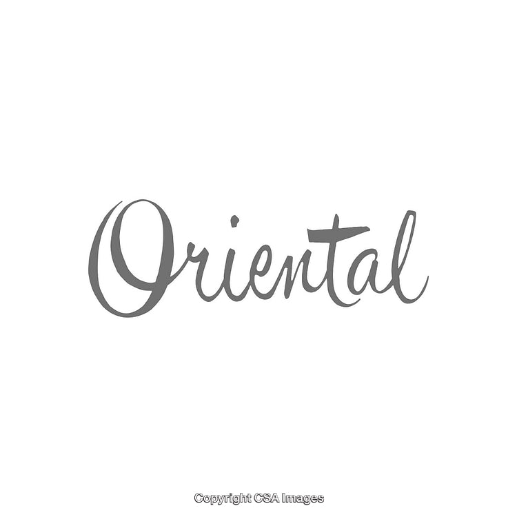 Stylized Word 'Oriental' in Script Font on White Background