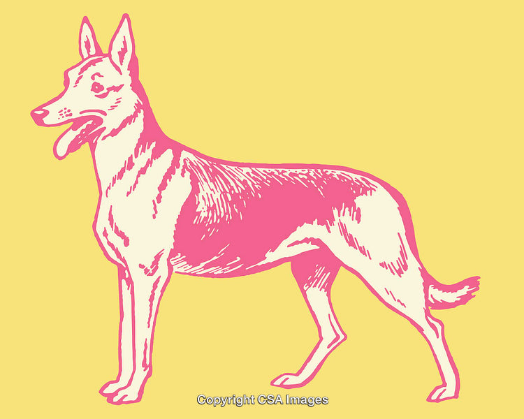 Vibrant Line Art Illustration of a Pink Dog on Yellow Background