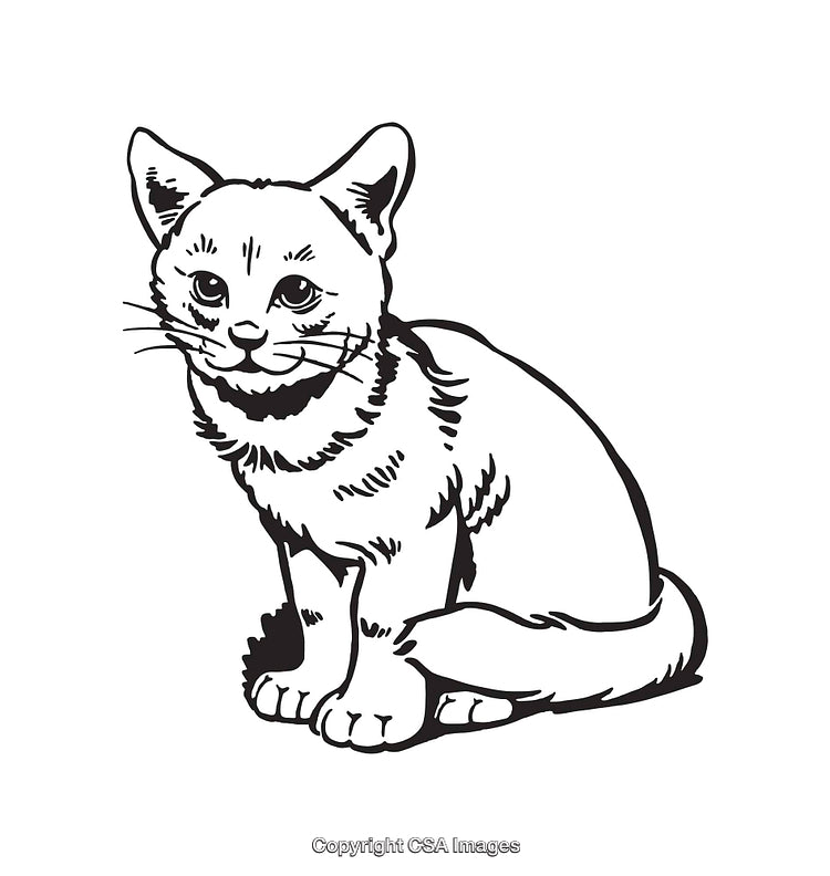 Black and White Line Art Cat Illustration with Detailed Features
