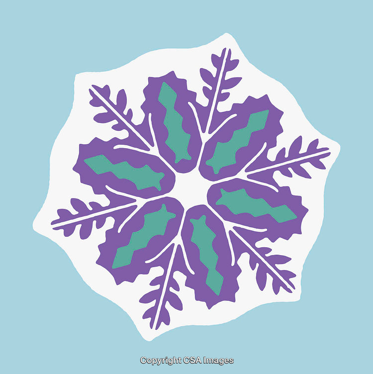 Colorful Abstract Snowflake Design with Intricate Pattern on Light Blue Background