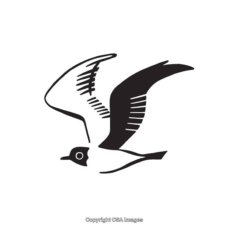 Black and White Line Art Illustration of a Simple Bird in Flight