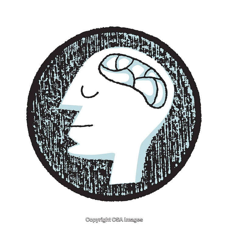 Stylized Illustration Highlighting Brain and Thought Process in Profile