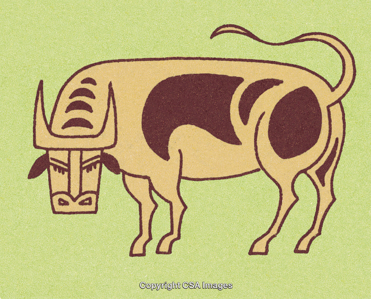 Cattle