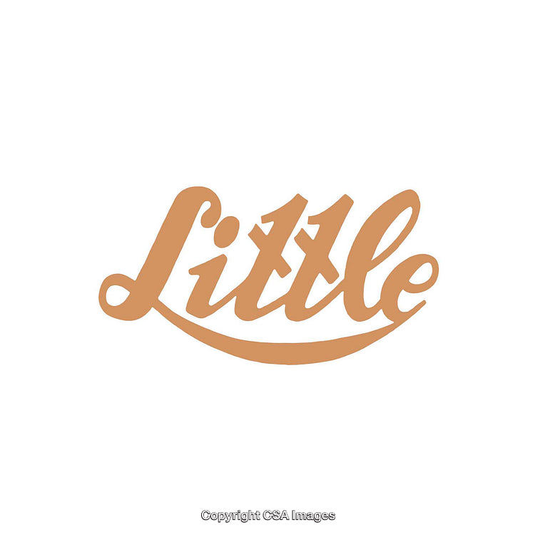Stylish Typography Design Featuring Word 'Little' in Elegant Script Font