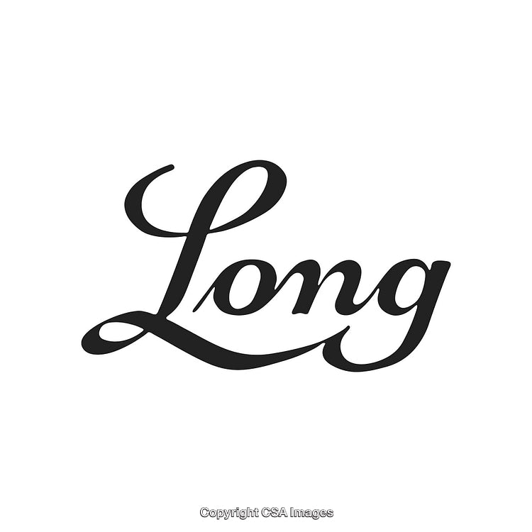 Elegant Handwritten Script Typography Displaying the Word 'Long' on White Background
