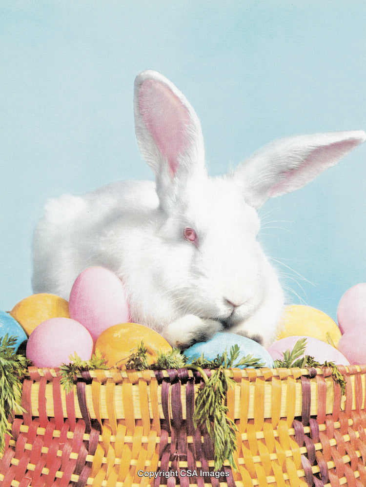 White Rabbit in Wicker Basket Adorned with Colorful Easter Eggs