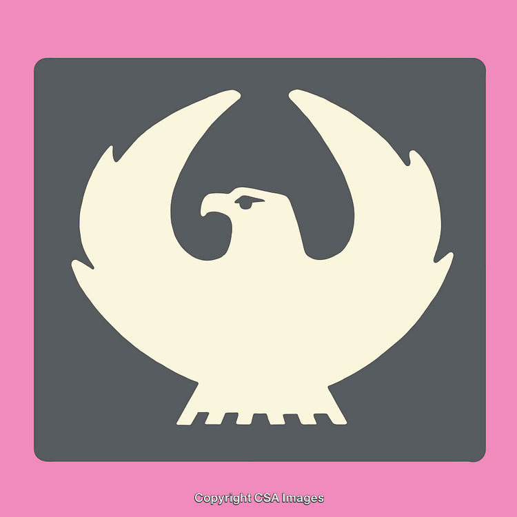 Minimalistic Eagle Design in Colorful Geometric Style