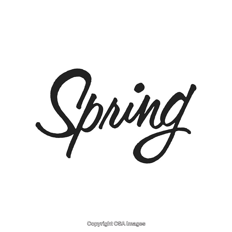 Elegant Handwritten Script Text of the Word 'Spring' on White Background