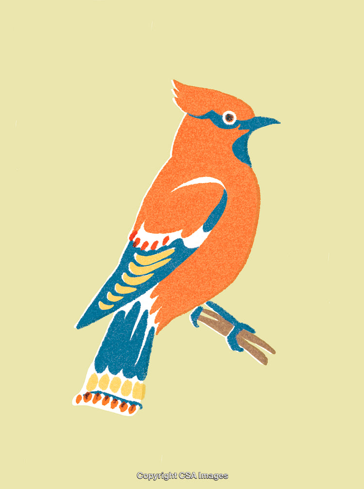 Stylized Illustration of a Colorful Bird Perched on a Branch