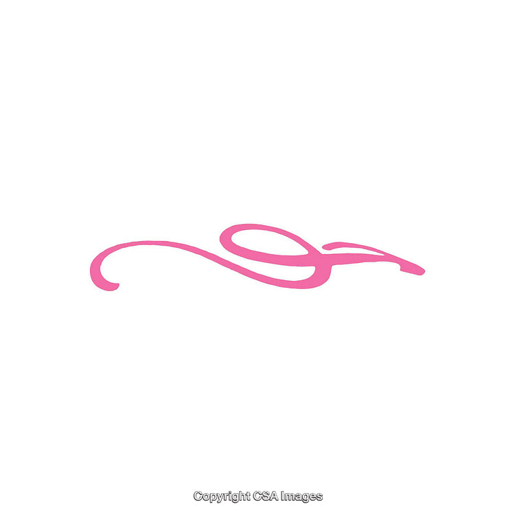 Elegant Pink Calligraphy Design with Feminine Artistic Flourishes