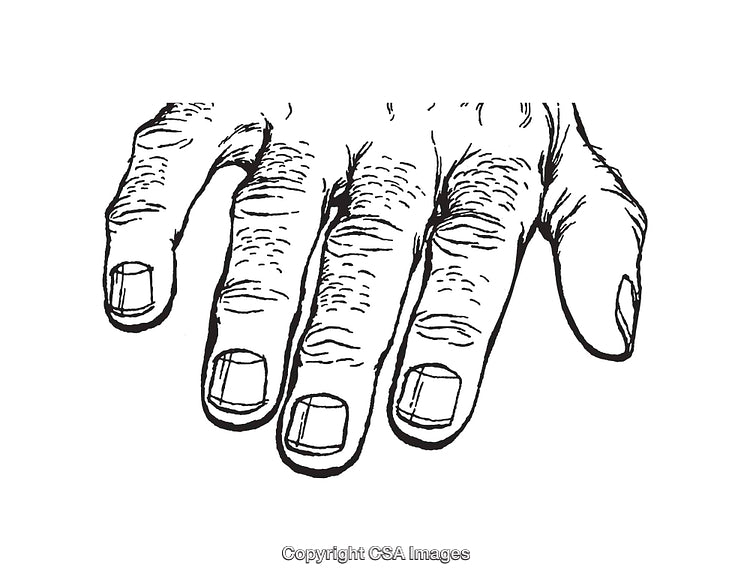 Detailed Line Art Illustration of a Hand in Black and White
