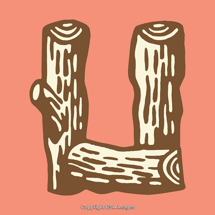 Stylized Letter U Crafted from Wooden Branches on Salmon Background