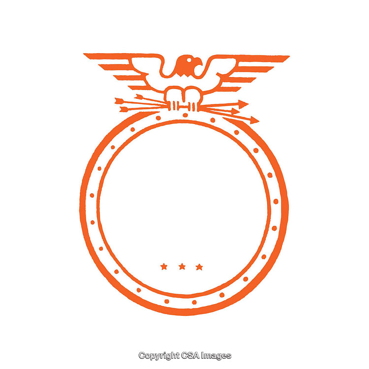 Orange Ornamental Eagle Emblem with Circle and Stars on White Background