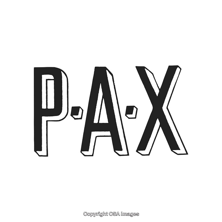 Minimalist Bold Black and White PAX Text Logo Design