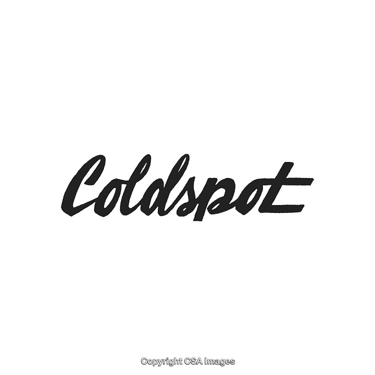 Classic Black Script Logo Design with Modern Aesthetic Style