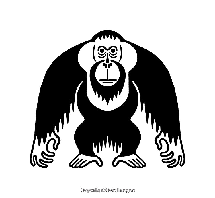 Black and White Illustration of an Ape in a Simplistic Art Style