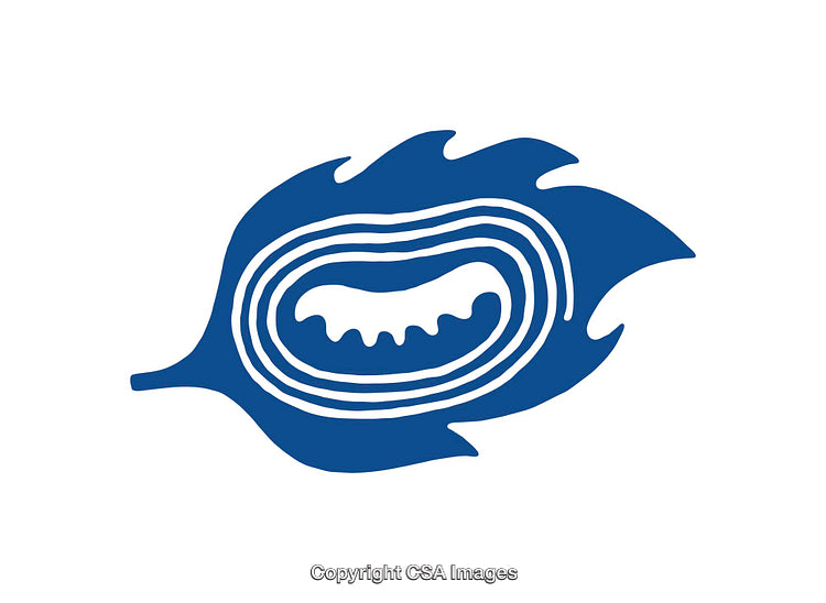 Blue Abstract Icon with Organic Wavy Design Elements