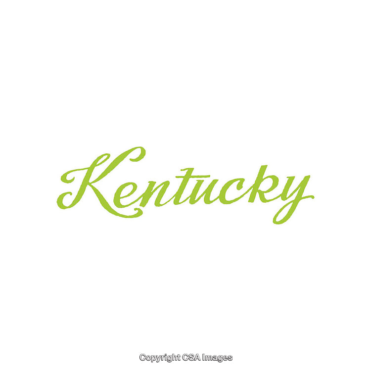 Elegant Green Script Showing Kentucky in Stylized Font on White Background