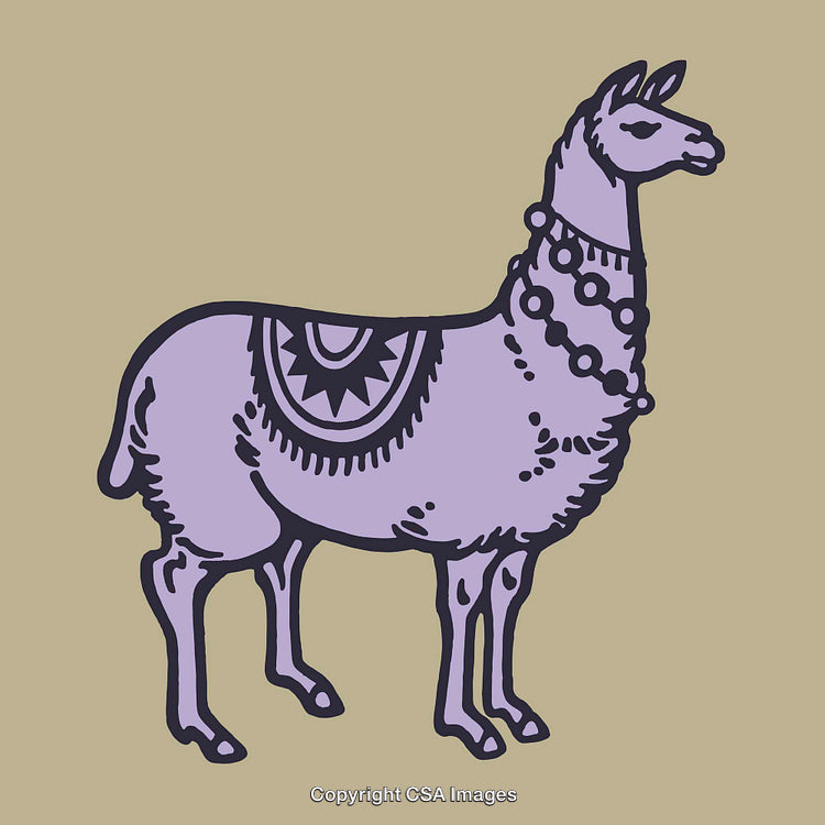 Artistic Illustration of a Decorated Llama in Pastel Color Scheme