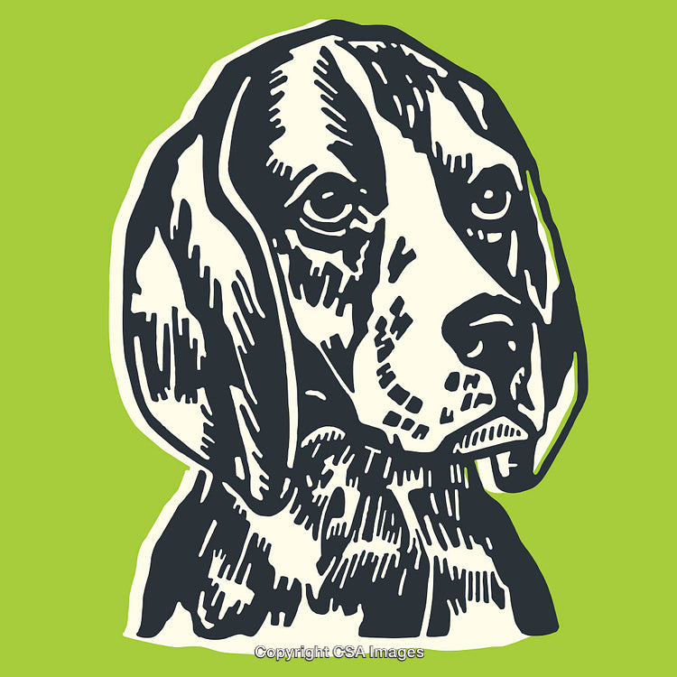 Vintage Line Art Illustration of a Dog Portrait on Green Background