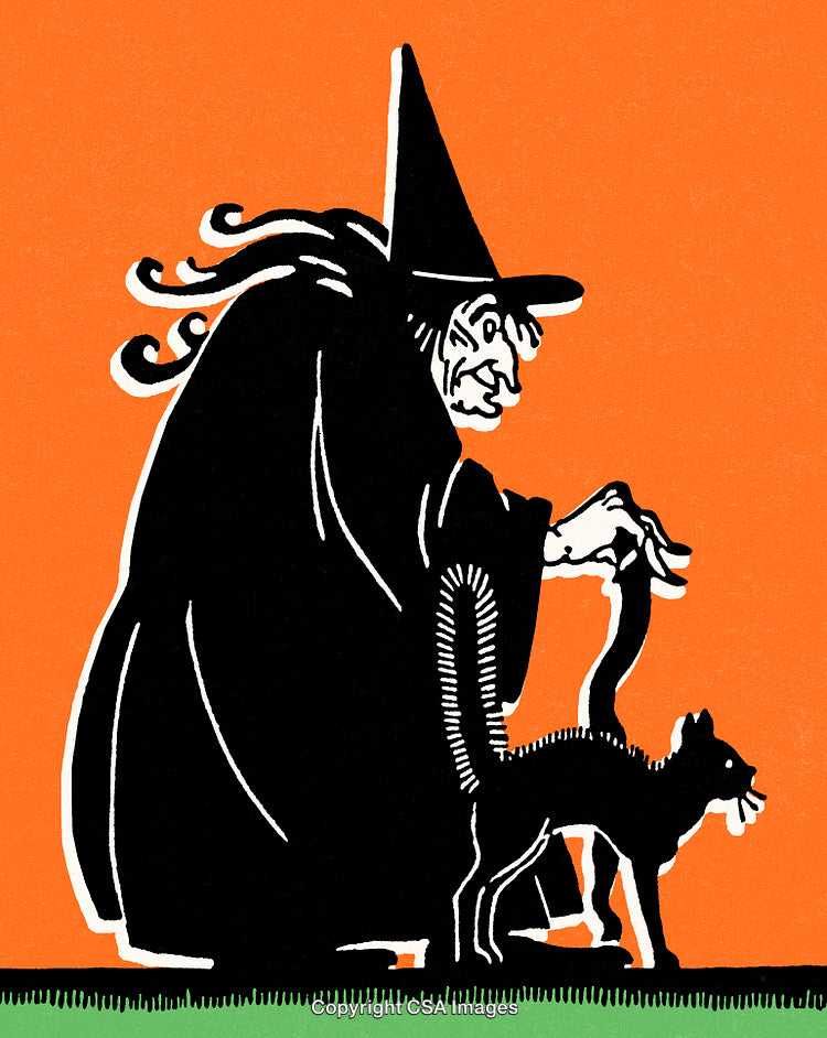 Halloween Witch and Black Cat With Orange Background Illustration