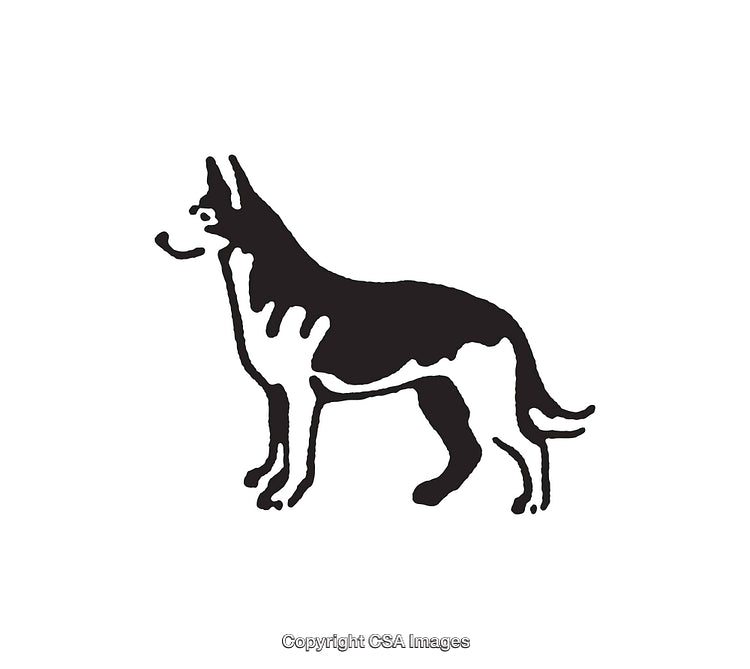 Black and White Line Art Illustration of a Dog in Profile