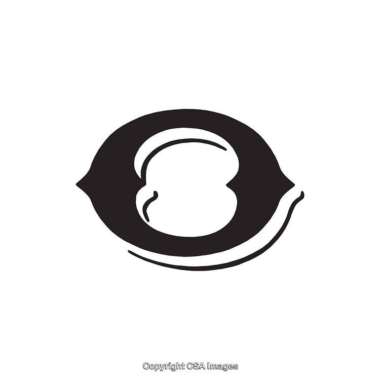 Minimalist Black and White Illustration Featuring the Letter O Design