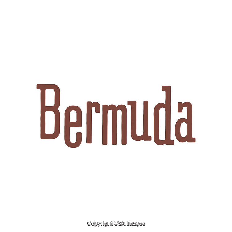 Classic Typography Featuring the Word Bermuda in Bold Brown Letters