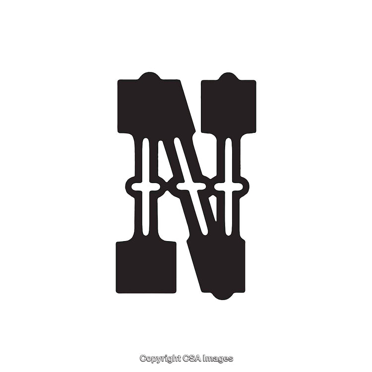 Bold Monochrome Letter N Design with Ornamental Elements