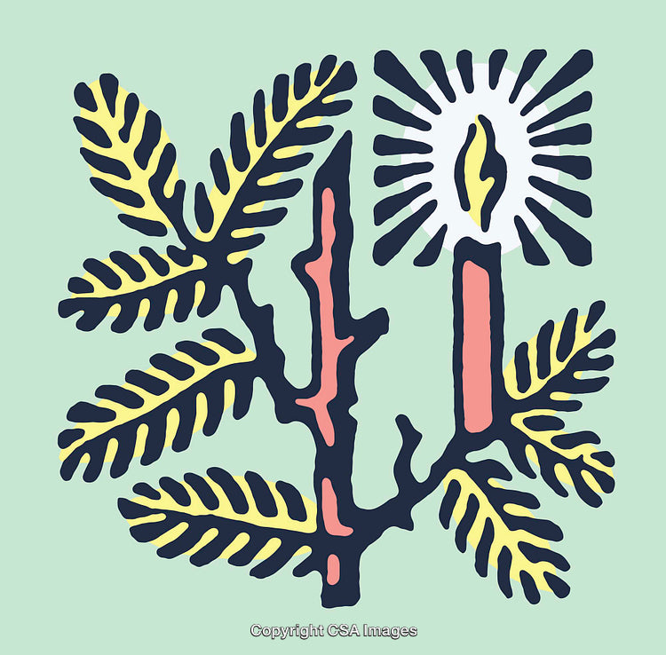 Colorful Botanical Line Art Illustration With Candle and Leaves Design